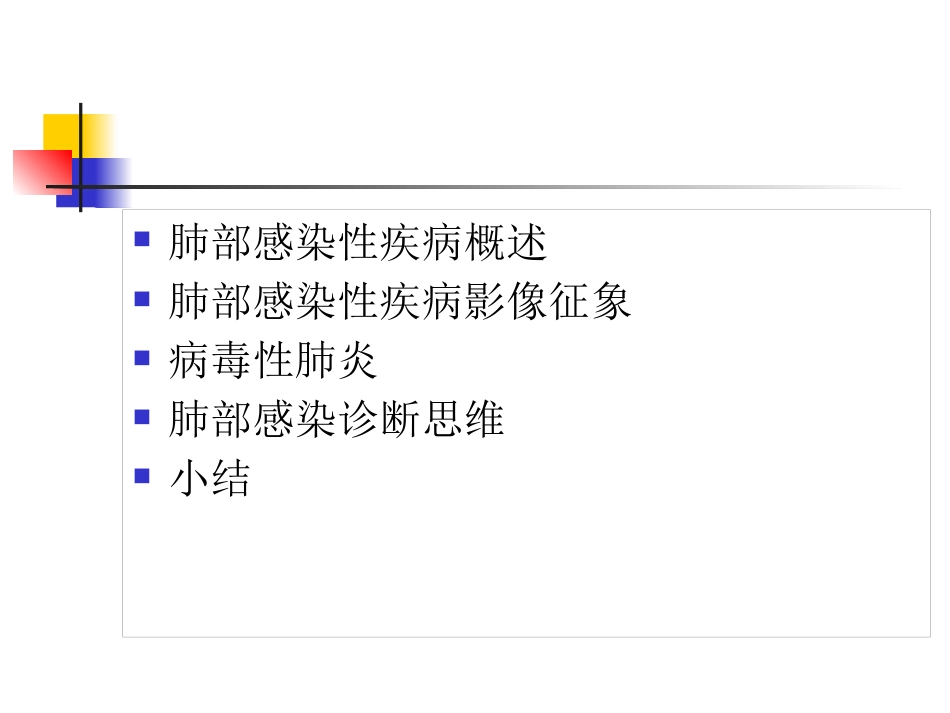 病毒性肺炎影像诊断新_第2页