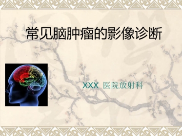 常见脑肿瘤的影像诊断(1)