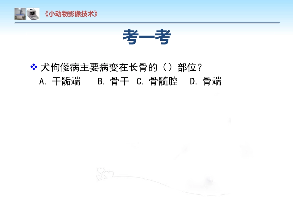 【小动物影像技术课件】犬佝偻病影像诊断技术【12页】_第10页