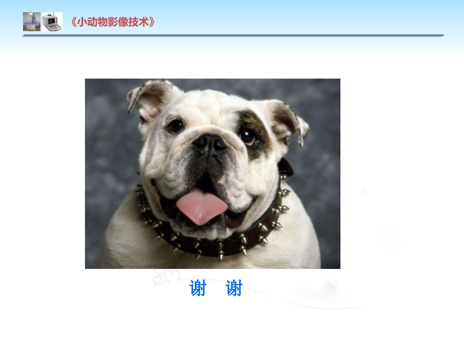【小动物影像技术课件】犬佝偻病影像诊断技术【12页】_第12页