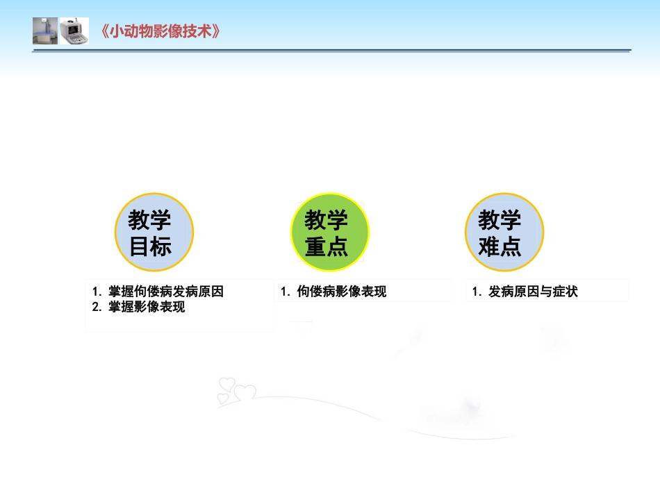 【小动物影像技术课件】犬佝偻病影像诊断技术【12页】_第2页
