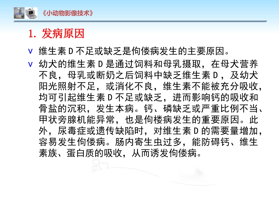 【小动物影像技术课件】犬佝偻病影像诊断技术【12页】_第4页