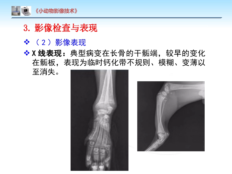 【小动物影像技术课件】犬佝偻病影像诊断技术【12页】_第7页