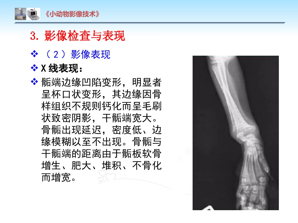 【小动物影像技术课件】犬佝偻病影像诊断技术【12页】_第8页