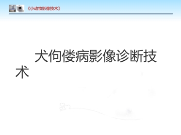 【小动物影像技术课件】犬佝偻病影像诊断技术【12页】