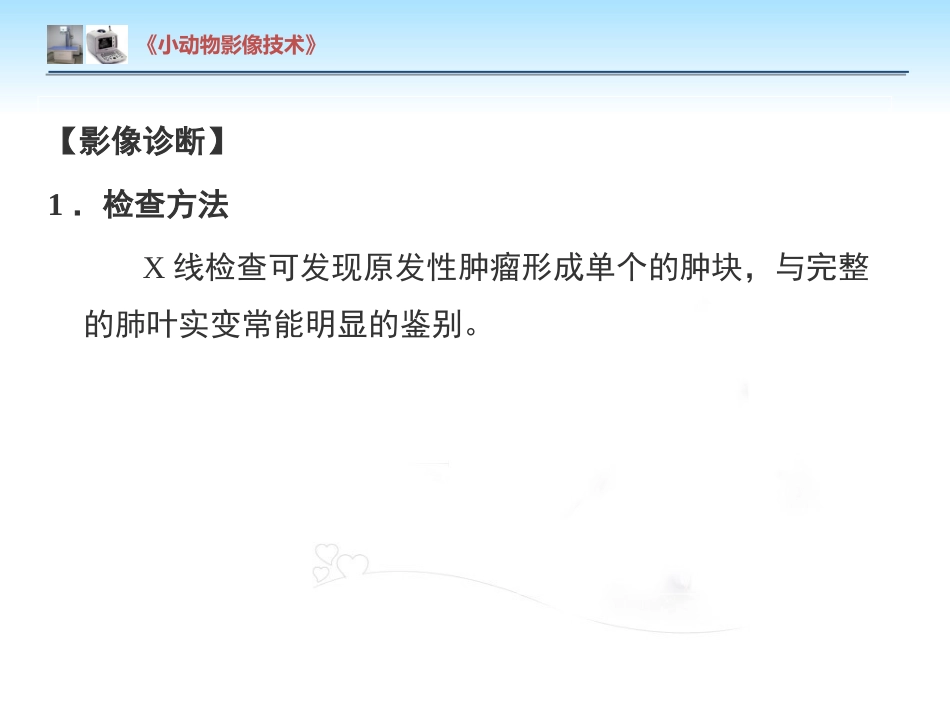 【小动物影像技术课件】肺肿瘤影像诊断技术【15页】_第10页