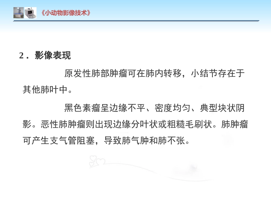【小动物影像技术课件】肺肿瘤影像诊断技术【15页】_第11页