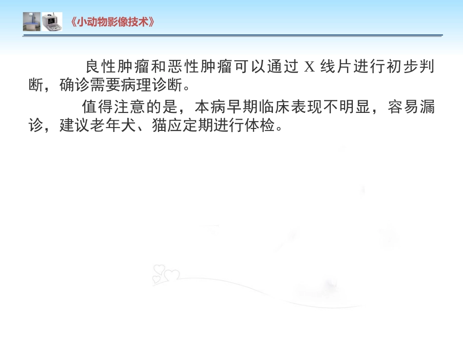 【小动物影像技术课件】肺肿瘤影像诊断技术【15页】_第13页