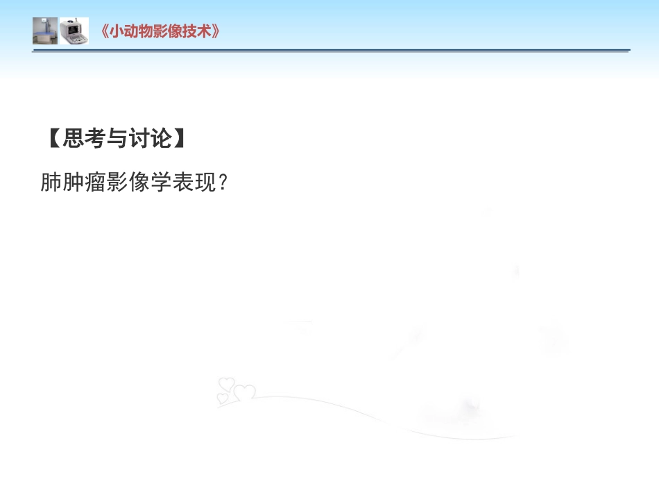 【小动物影像技术课件】肺肿瘤影像诊断技术【15页】_第14页