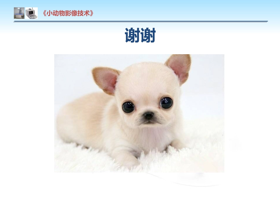 【小动物影像技术课件】肺肿瘤影像诊断技术【15页】_第15页
