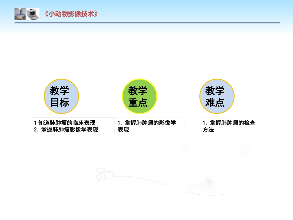 【小动物影像技术课件】肺肿瘤影像诊断技术【15页】_第2页
