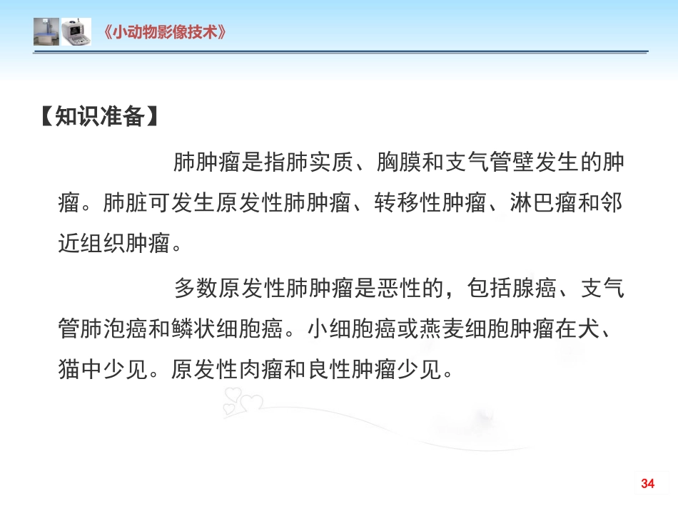 【小动物影像技术课件】肺肿瘤影像诊断技术【15页】_第3页