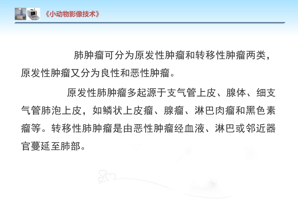 【小动物影像技术课件】肺肿瘤影像诊断技术【15页】_第4页