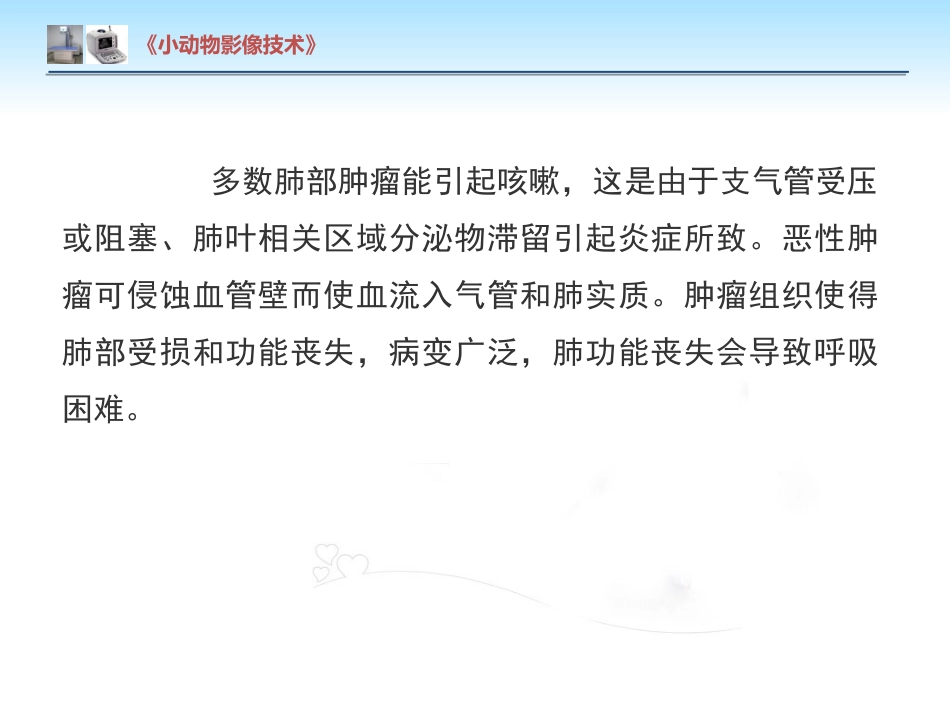 【小动物影像技术课件】肺肿瘤影像诊断技术【15页】_第5页