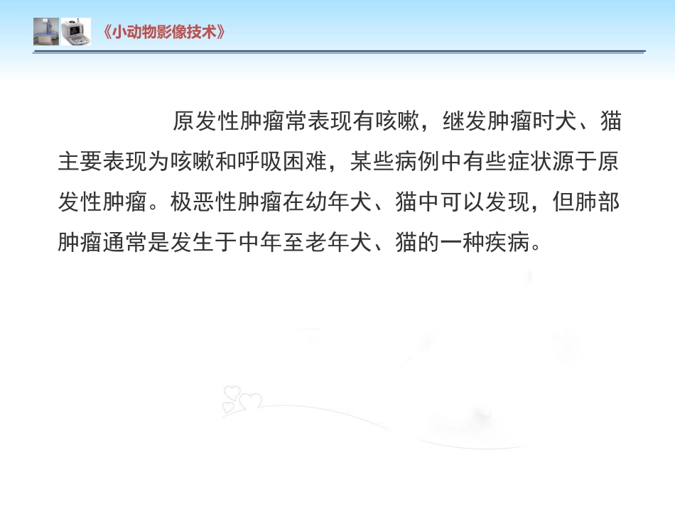 【小动物影像技术课件】肺肿瘤影像诊断技术【15页】_第6页