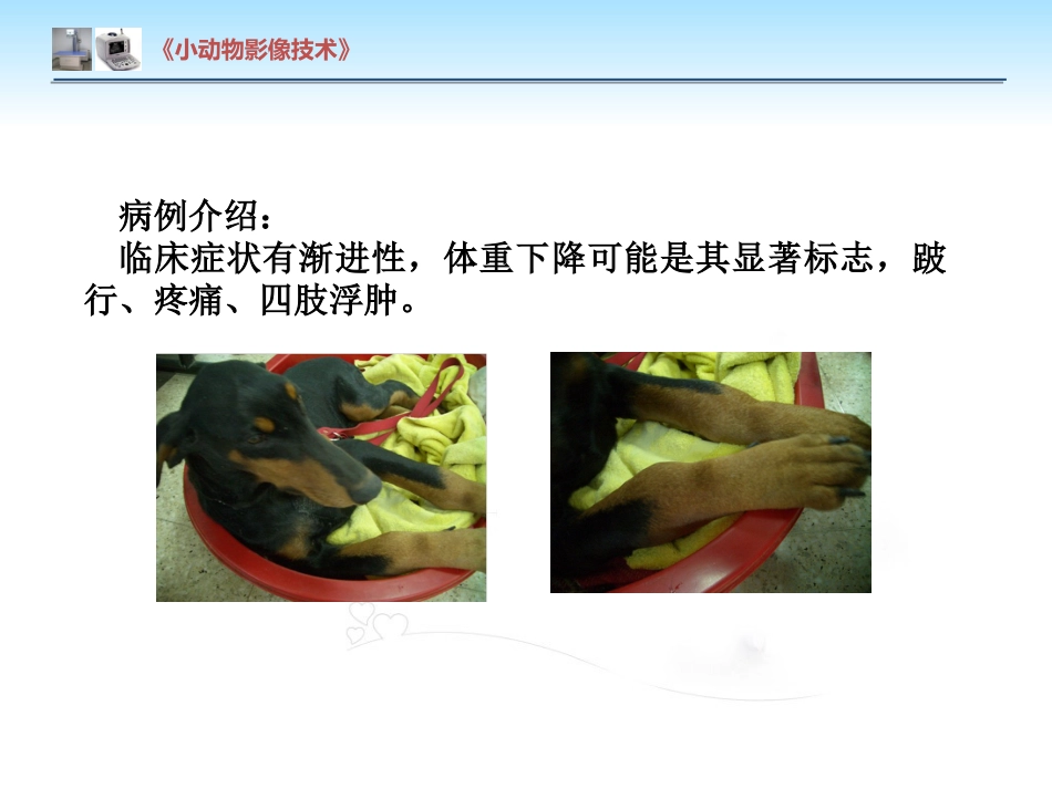 【小动物影像技术课件】肺肿瘤影像诊断技术【15页】_第7页