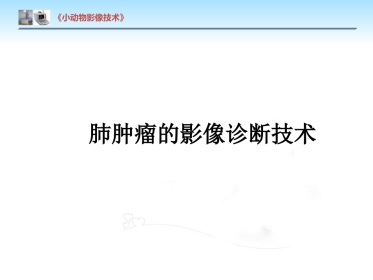 【小动物影像技术课件】肺肿瘤影像诊断技术【15页】