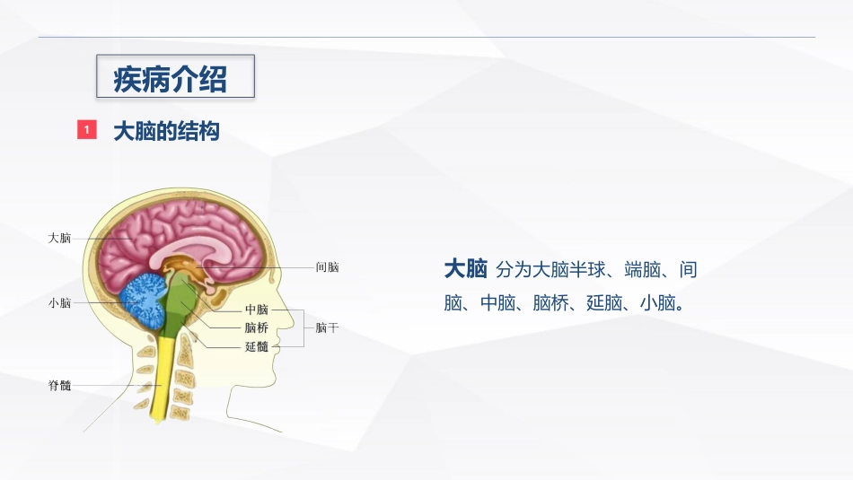 脑出血疾病介绍+术后护理_第2页