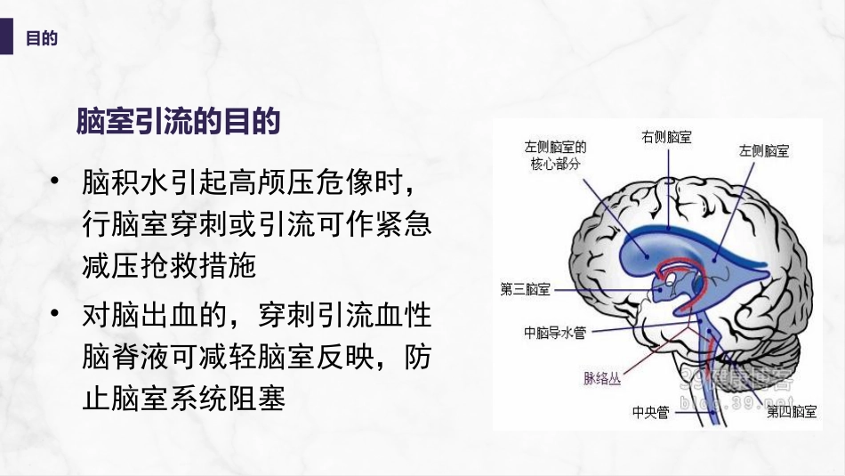 脑室引流管的护理_第12页