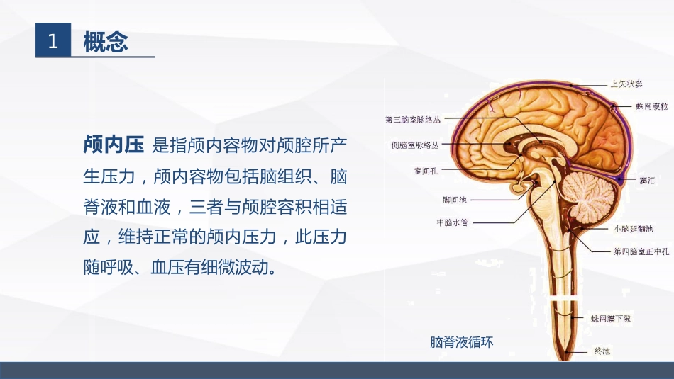 颅内压增高病人的护理_第4页