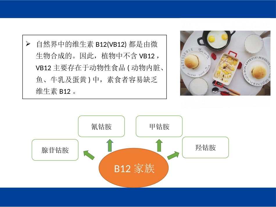 VB腺苷钴胺与甲钴胺的区别_第2页