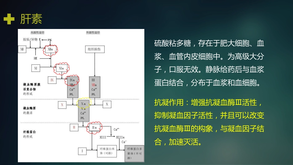 神经内科常用药物_第10页