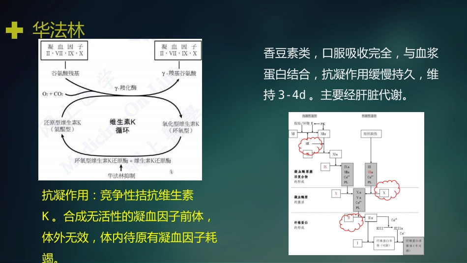 神经内科常用药物_第13页