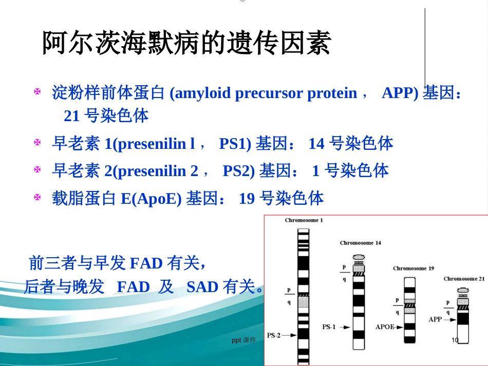 阿尔兹海默病的药物治疗研_第10页