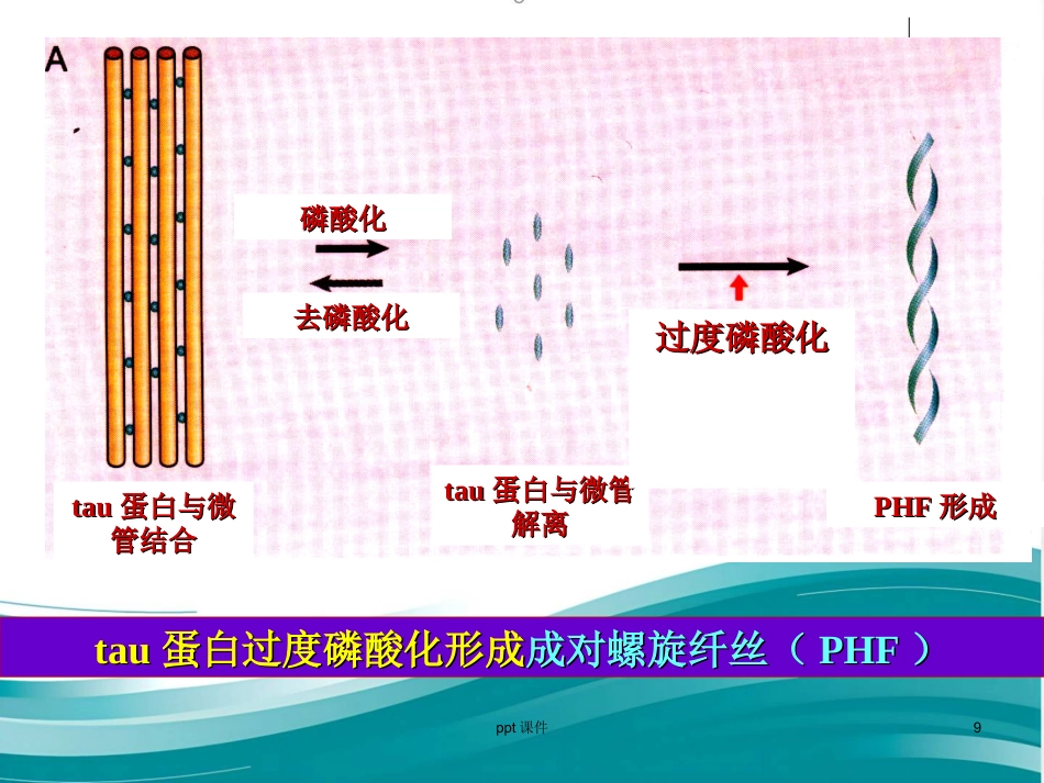 阿尔兹海默病的药物治疗研_第9页