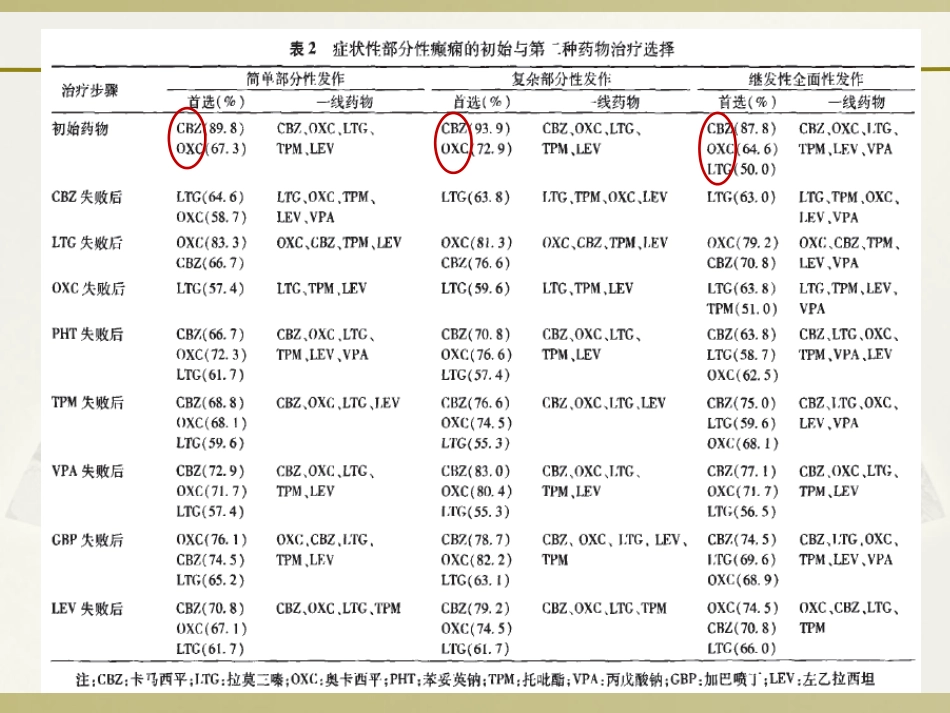 抗癫痫药物_第13页