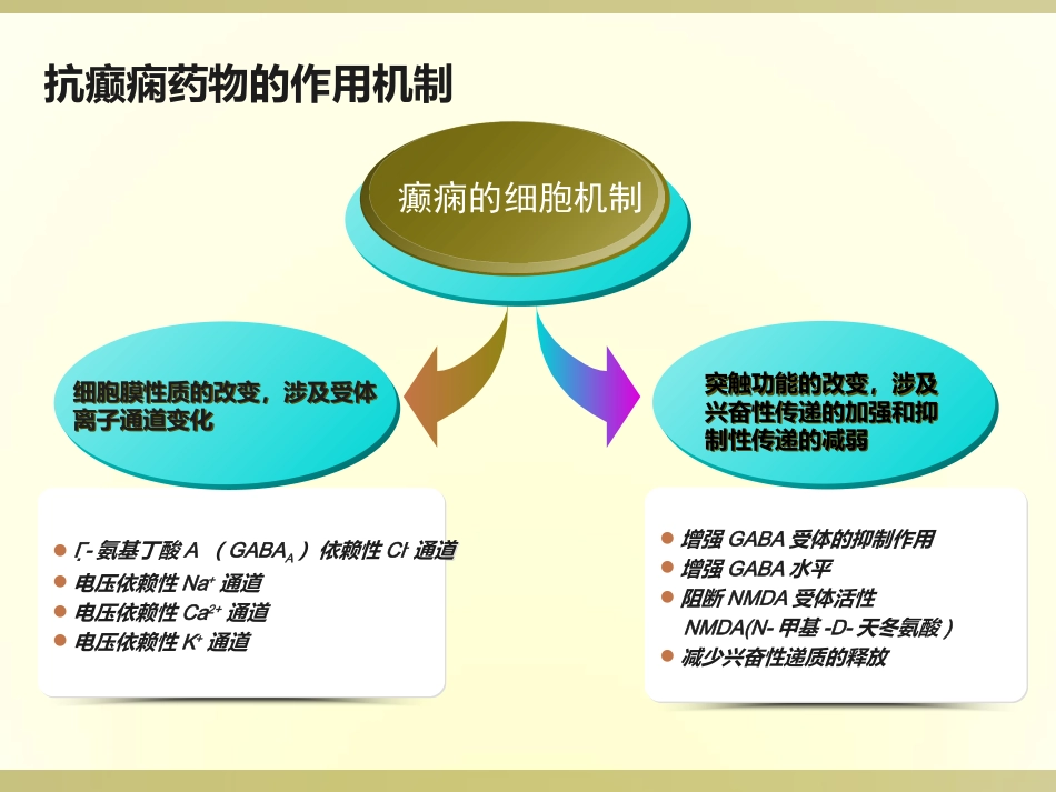 抗癫痫药物_第9页