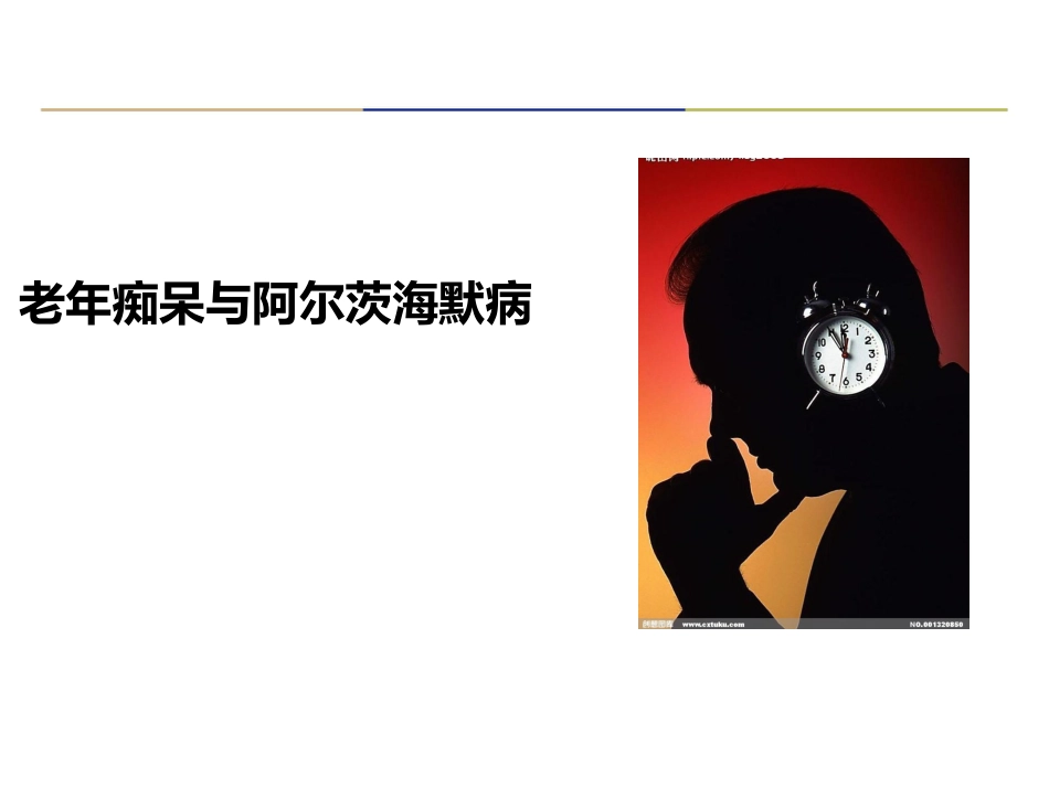 老年痴呆症诊治及合理用药_第13页