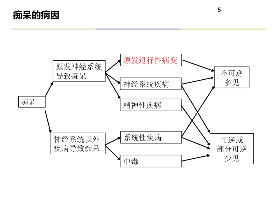 老年痴呆症诊治及合理用药_第5页