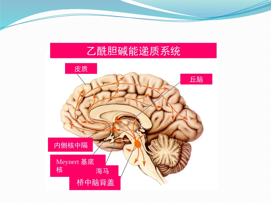 阿尔茨海默病_第9页