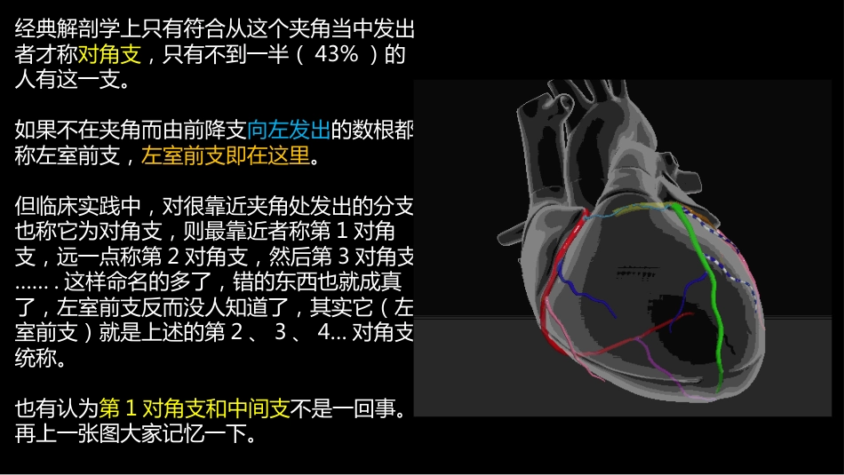 多层螺旋CT冠状动脉疾病诊断再学习之一_第12页