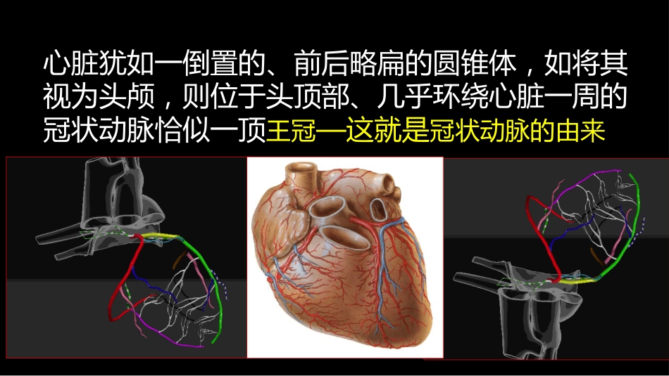 多层螺旋CT冠状动脉疾病诊断再学习之一_第3页