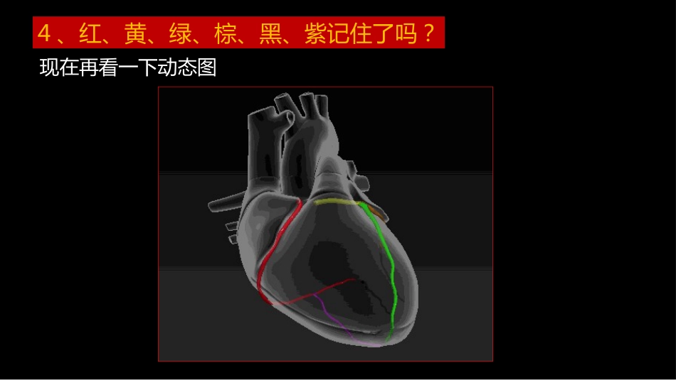 多层螺旋CT冠状动脉疾病诊断再学习之一_第9页