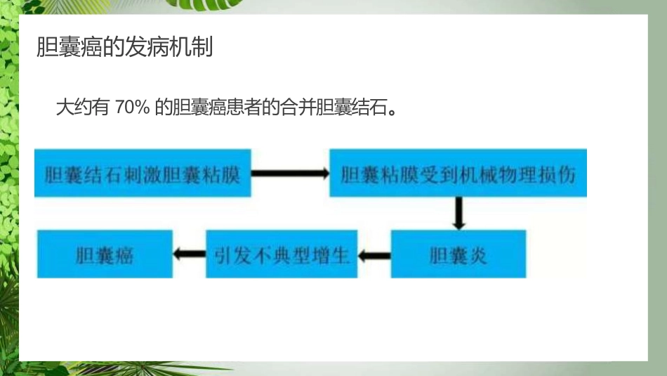 胆囊癌影像_第10页