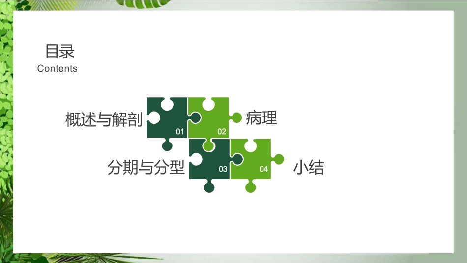 胆囊癌影像_第2页