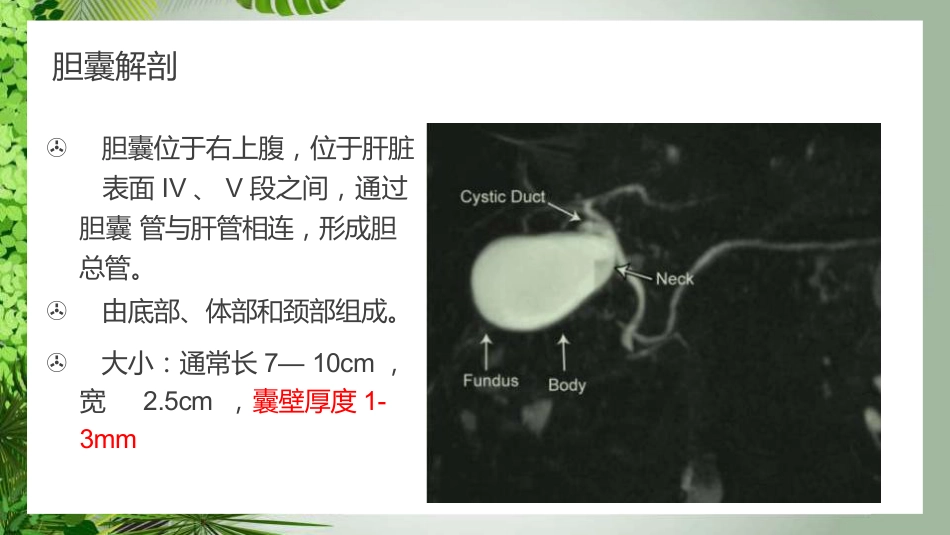 胆囊癌影像_第4页