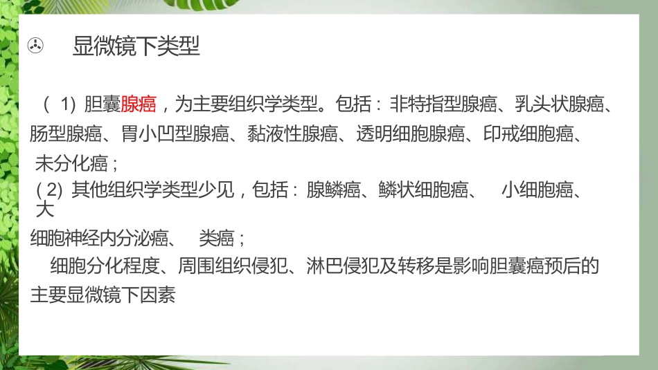 胆囊癌影像_第8页