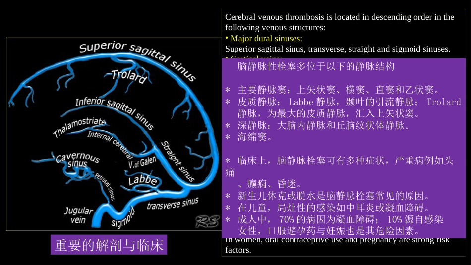 脑静脉血栓形成影像学_第3页