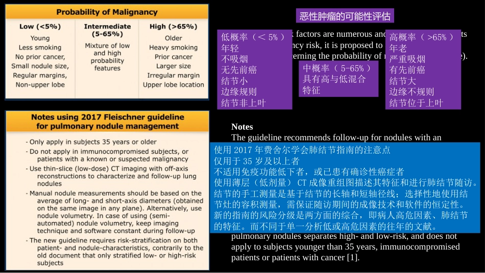 肺结节指南与临床实践_第11页