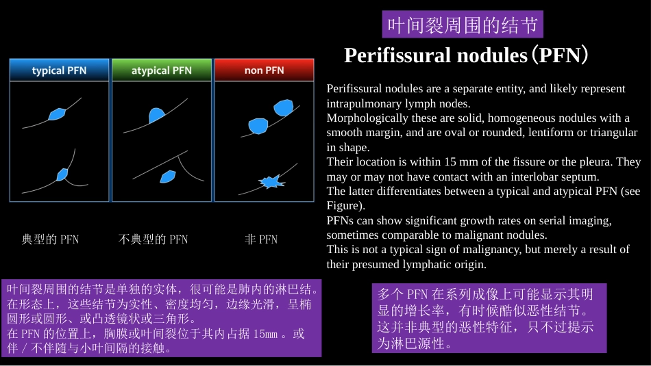 肺结节指南与临床实践_第13页
