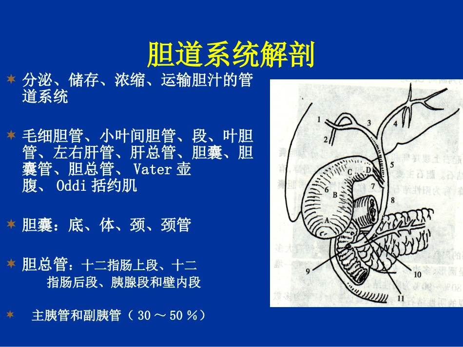 胆道疾病的影像学诊断_第2页