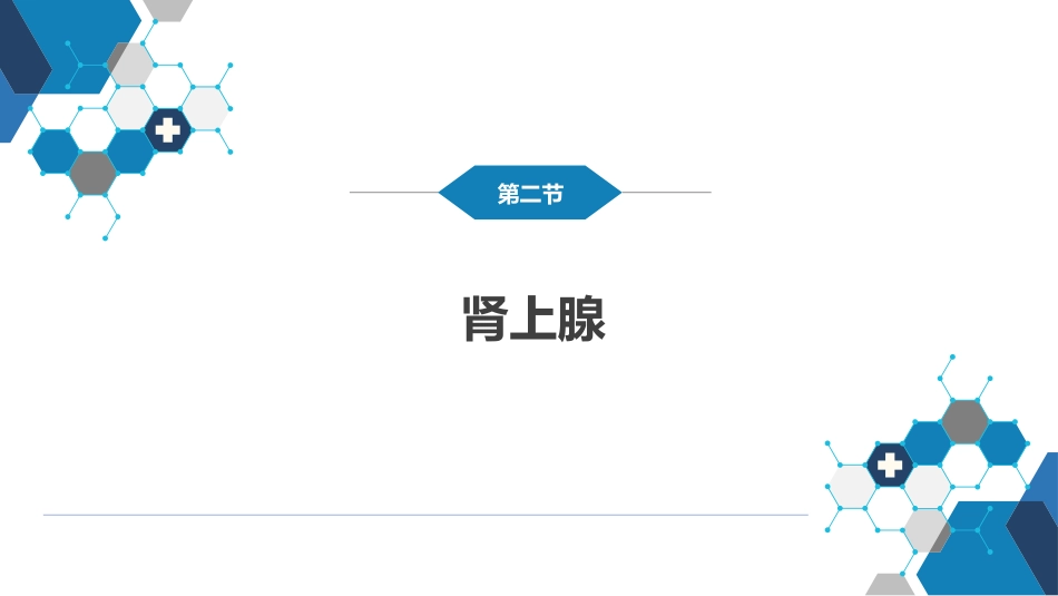第八章 泌尿生殖系统与腹膜后间隙 第二节 肾上腺_第2页
