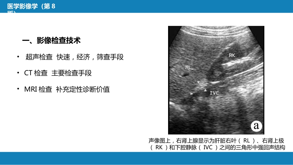 第八章 泌尿生殖系统与腹膜后间隙 第二节 肾上腺_第5页