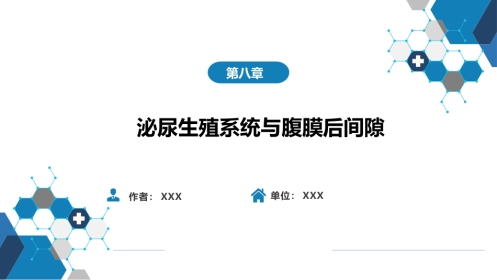 第八章 泌尿生殖系统与腹膜后间隙 第二节 肾上腺