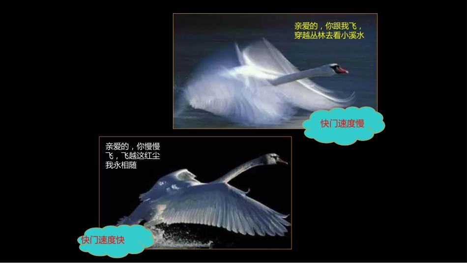 多层螺旋CT冠状动脉疾病诊断再学习之二_第12页