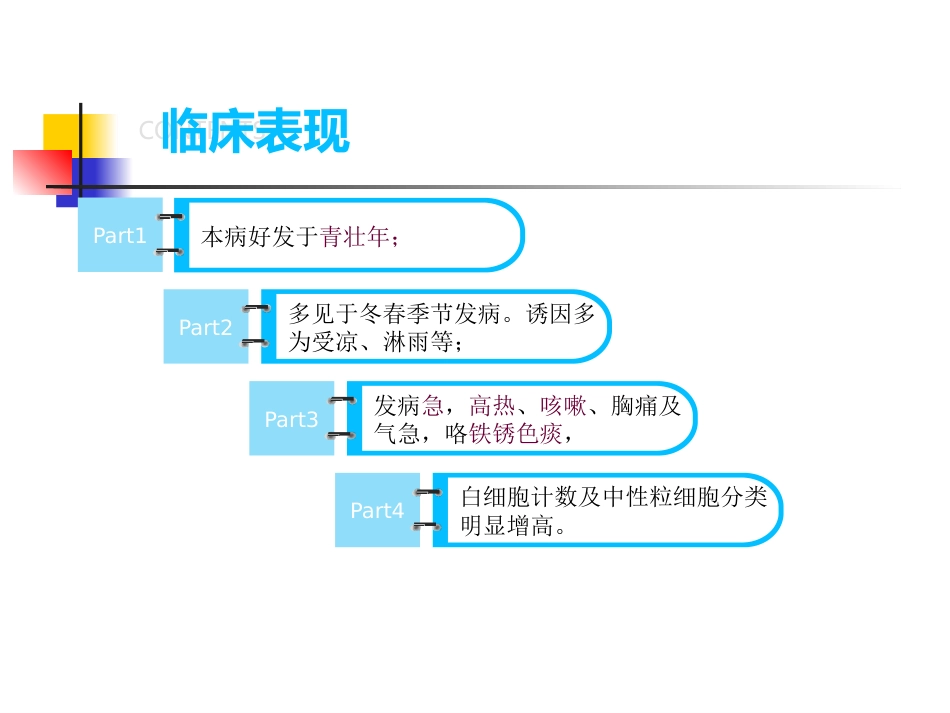 大叶性肺炎的影像诊断PPT_第3页